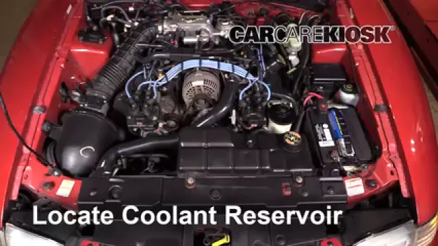 1998 Ford Mustang GT 4.6L V8 Convertible Refrigerante (anticongelante) Cambiar refrigerante